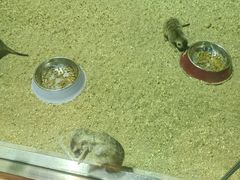 -大连圣亚海洋世界