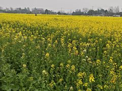 -桤木河湿地公园