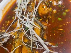 糖醋脆皮鱼-曾牛肉