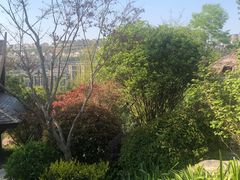 -七彩云南古滇温泉山庄