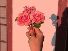 -江渔儿酸菜鱼(东山店)