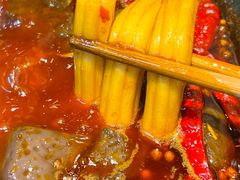 -阳阳老火锅(小南门店)