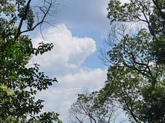 -上海佘山国家森林公园天马山园