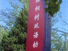 -北京梧桐树双语幼儿园