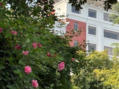 -杭州香格里拉·香宫中餐厅