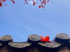 -广州神农草堂中医药博物馆