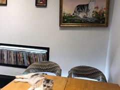 -猫色咖啡·猫咖