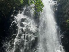 -马峦山郊野公园
