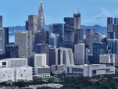 -深圳皇庭V酒店