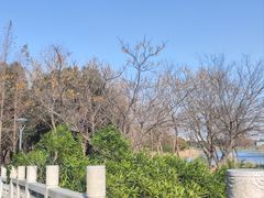 -贡湖湾湿地公园