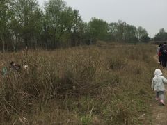 -桤木河湿地公园