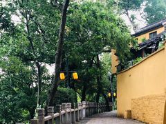 -灵岩山风景区