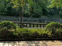 -西南政法大学(沙坪坝校区)