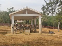 -石家庄市动物园