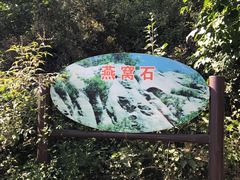 景点-大岭沟猕猴桃谷风景区