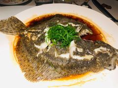 -梧桐餐厅(泉城路店)