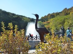 -北京西山国家森林公园