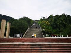 -铁山坪森林公园