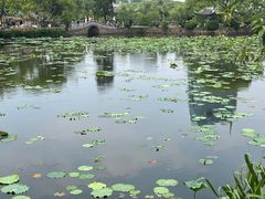 -无锡蠡湖国家湿地公园-蠡园