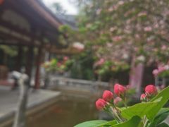 -大唐博相府酒店·陕西官府菜