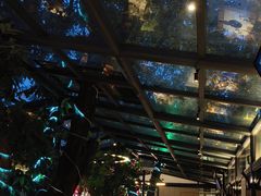 -海岛八号龙虾烧烤田鸡(蓝天路总店)