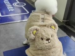 -宠颐生宠物医院·犬猫全科·皮肤科(商业街店)
