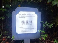 -达蓬山温泉