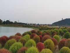 -径山花海