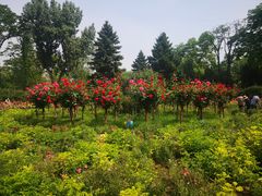 -迎泽公园