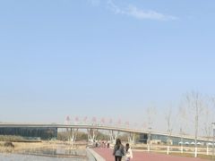 -西安浐灞国家湿地公园