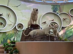 -陕西自然博物馆