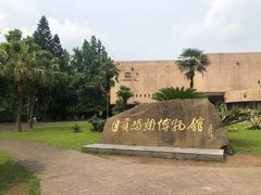 -自贡恐龙博物馆