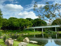 -昆山城市生态森林公园