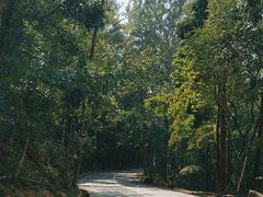 -火炉山森林公园