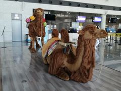 -敦煌莫高国际机场