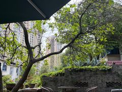 -树厨贵州菜(铜仁花果山店)