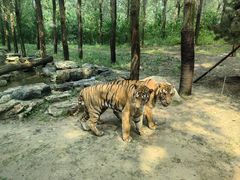 -北京野生动物园