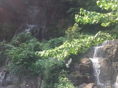 -陶祖圣境风景区