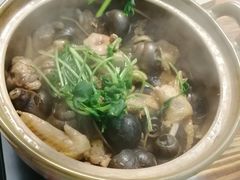 招牌必点-田螺鸡煲-食爺炭炉鸡煲·烧烤