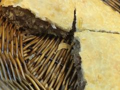 -穆彦华逍遥镇胡辣汤(岗坡路店)