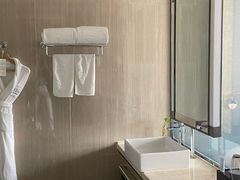 -济南绿地美利亚酒店