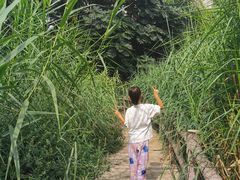 -成都市活水公园