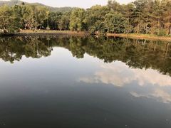 -大屏嶂森林公园