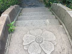-汇龙潭
