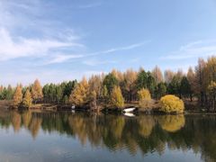 -塞罕坝国家级自然保护区