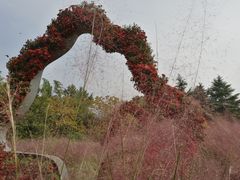 -上海植物园-4号门售票处