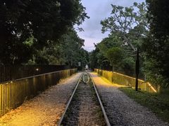 -武吉知马自然保护区