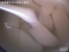 2-奶酪魏(牛街总店)
