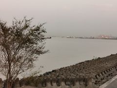 -上海滨江森林公园