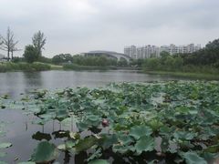 android_upload_pic-新江湾城公园